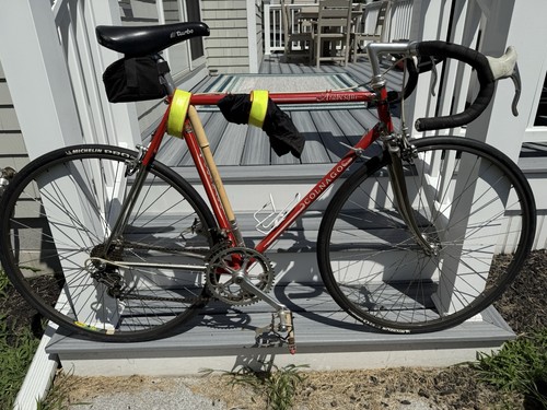 Colnago arabesque campagnolo - colnago,